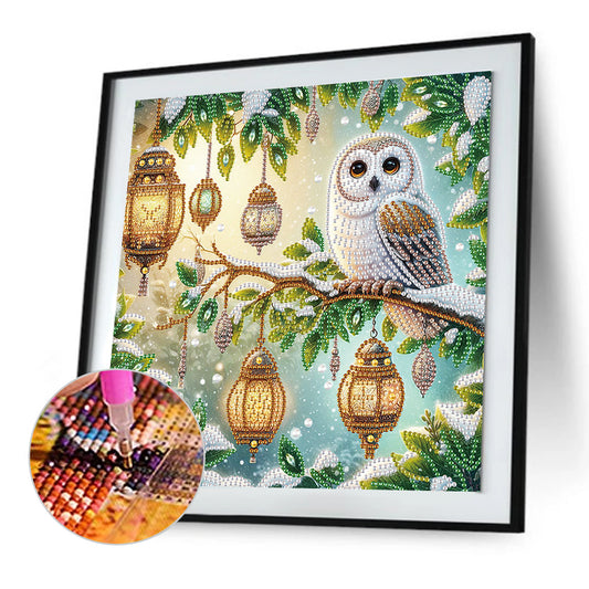 Owl - Special Shaped Drill Diamond Painting 30*30CM