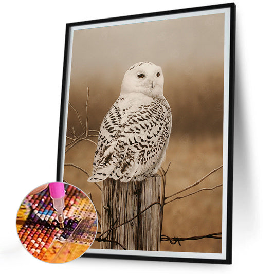 Owl - Full Round Drill Diamond Painting 30*40CM