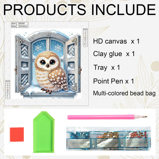 Winter Owl - Special Shaped Drill Diamond Painting 30*30CM