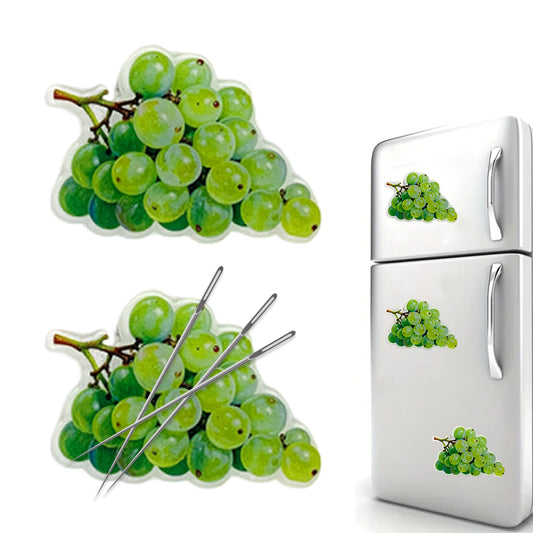 Fruit Magnetic Acrylic Needle Minder for Cross Stitch Embroidery Sewing Needle