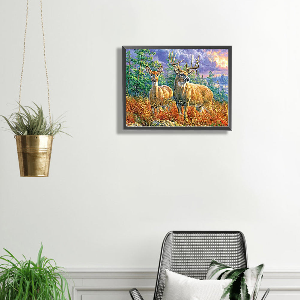 Elk - Full Square Drill Diamond Painting 40*30CM