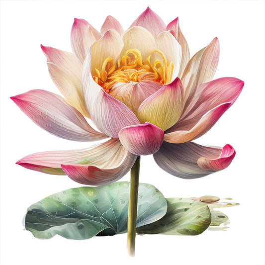 Lotus - 11CT Stamped Cross Stitch 40*40CM