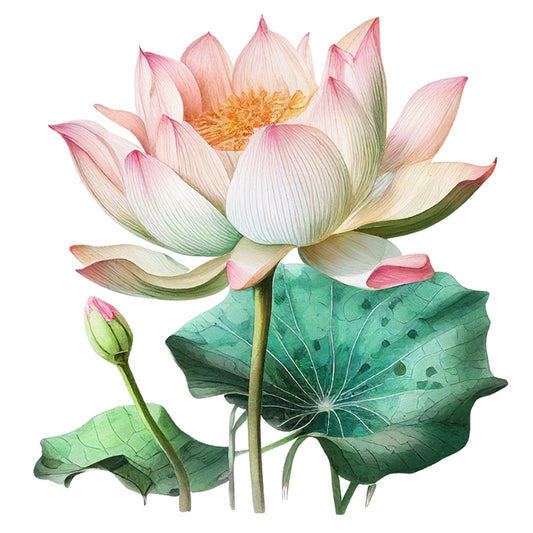 Lotus - 11CT Stamped Cross Stitch 40*40CM