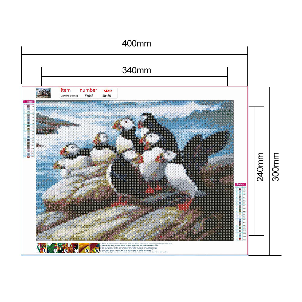Puffin - Full Round Drill Diamond Painting 40*30CM
