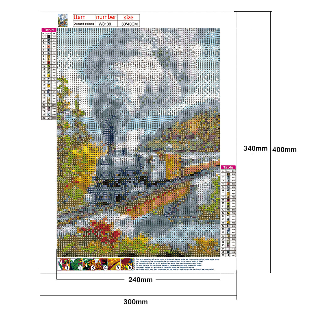 Train - Full Round Drill Diamond Painting 30*40CM