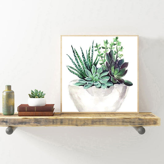 Succulent Plant - Full Round Drill Diamond Painting 30*30CM