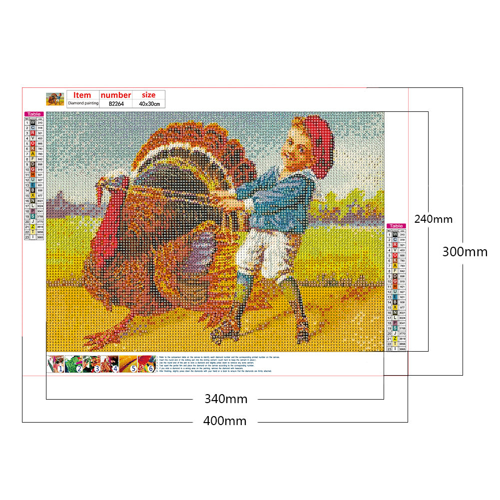Turkey - Full Round Drill Diamond Painting 40*30CM