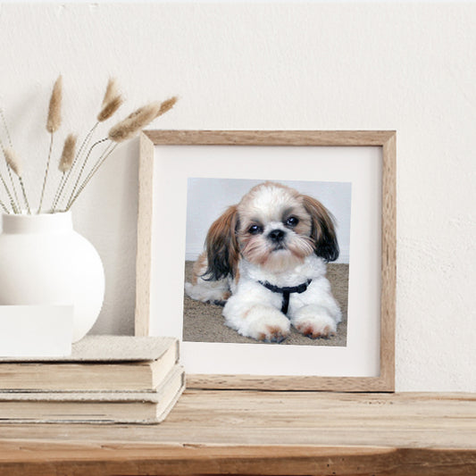 Puppy - Full Square Drill Diamond Painting 50*50CM