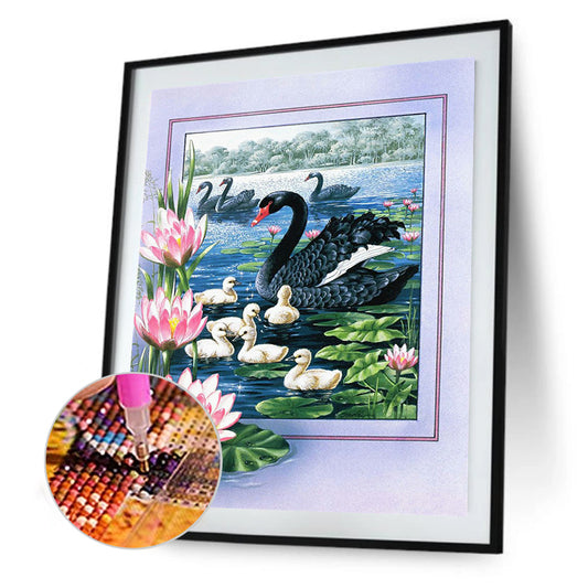Black Swan 50*60CM(Canvas) Full Round Drill Diamond Painting