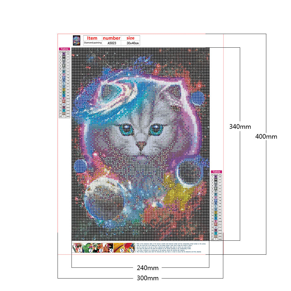 Cat In The Universe 30*40CM(Canvas) Full Round Drill Diamond Painting