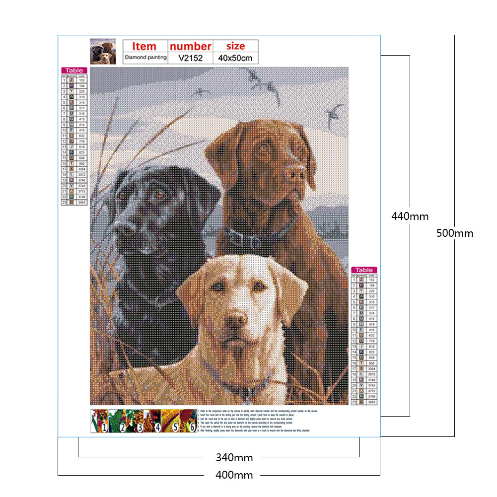 Three Puppies - Full Round Drill Diamond Painting 40*50CM