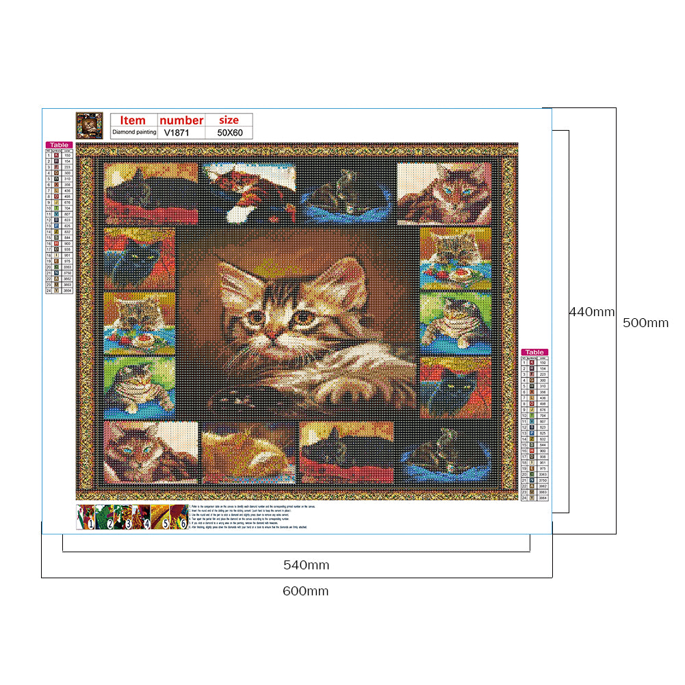 Kitten - Full Round Drill Diamond Painting 60*50CM