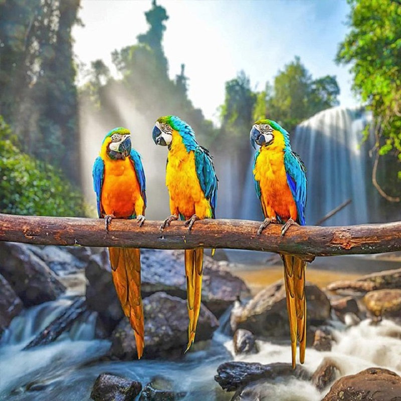 Parrot - Full Round Drill Diamond Painting 30*30CM