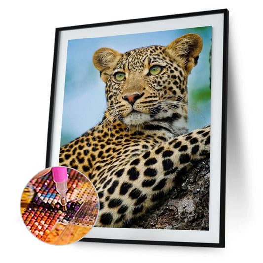 African Leopard - Full Round Drill Diamond Painting 30*40CM