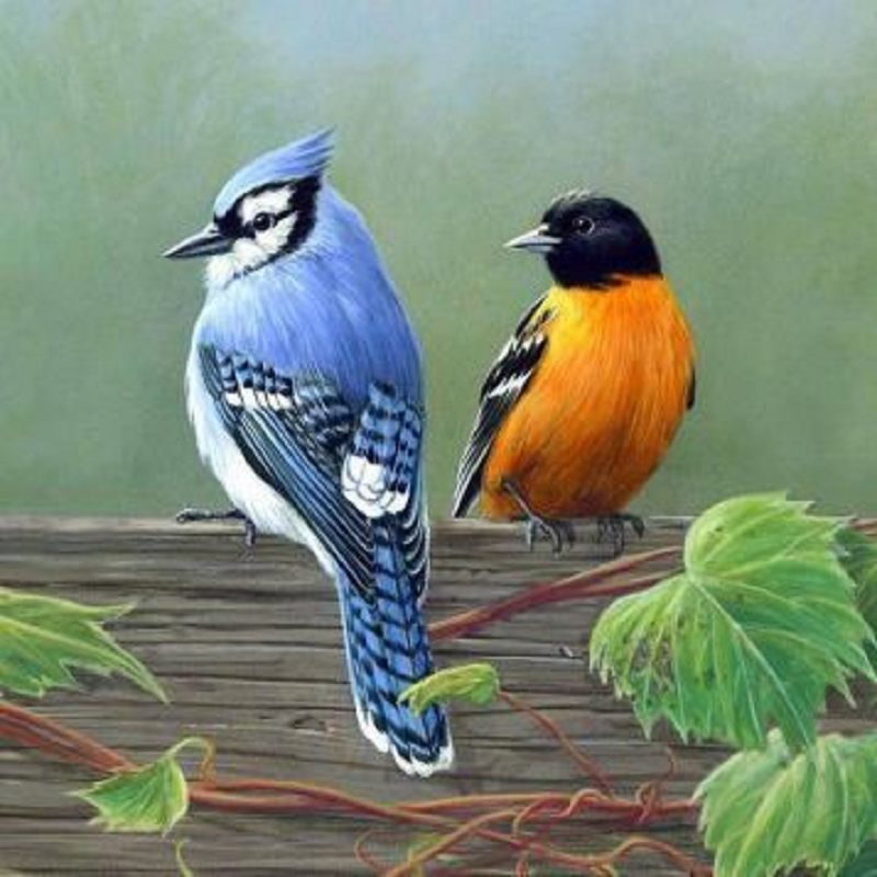 Blue Robin - Full Round Drill Diamond Painting 30*30CM