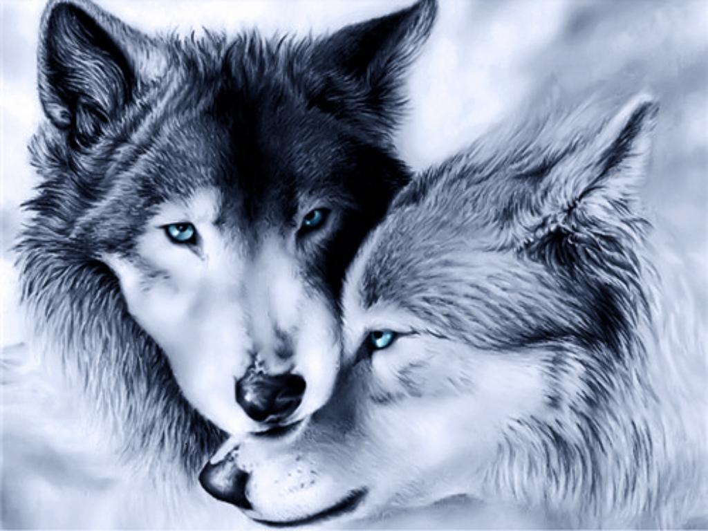 Wolf Couple - Full Round Drill Diamond Painting 40*30CM