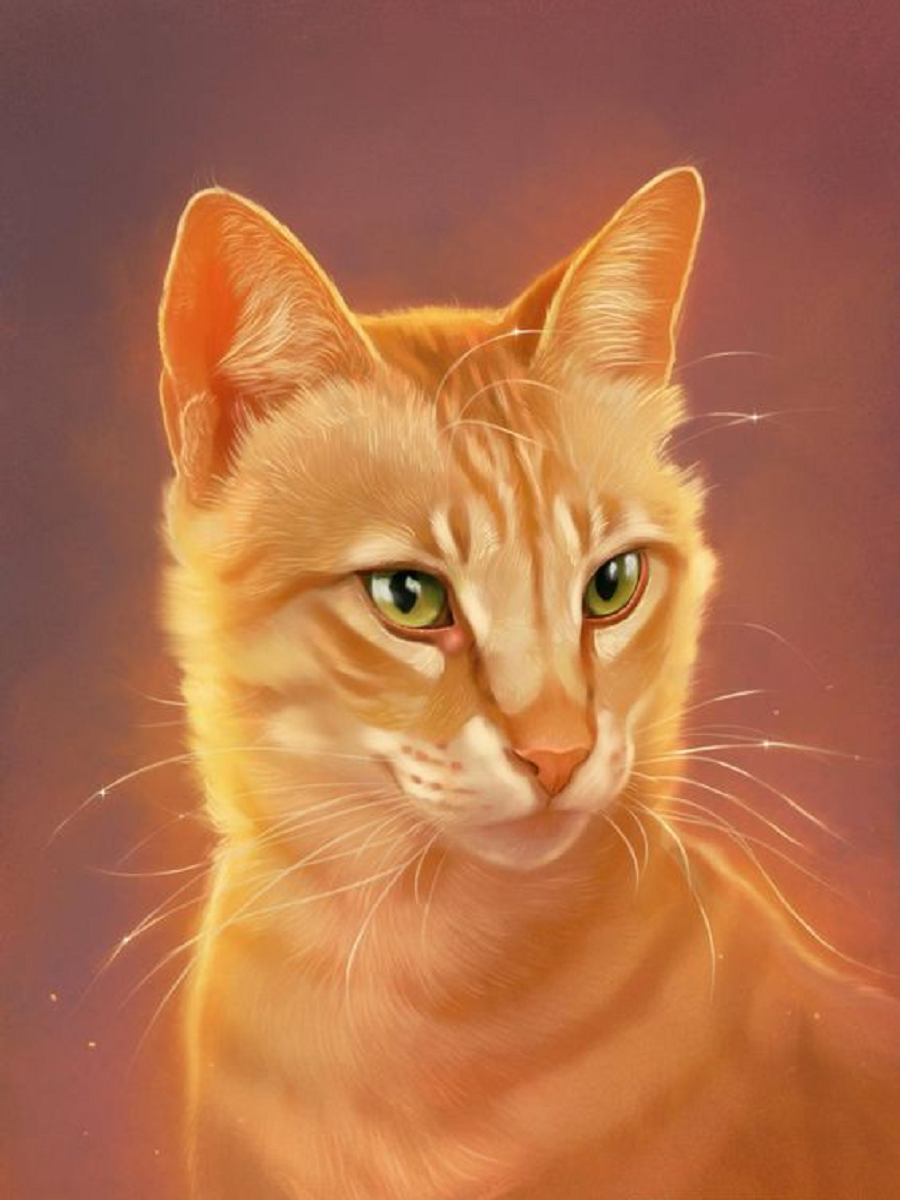 Orange Cat - Full Round Drill Diamond Painting 30*40CM