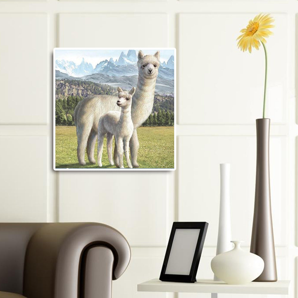 Alpaca - Full Round Drill Diamond Painting 30*30CM