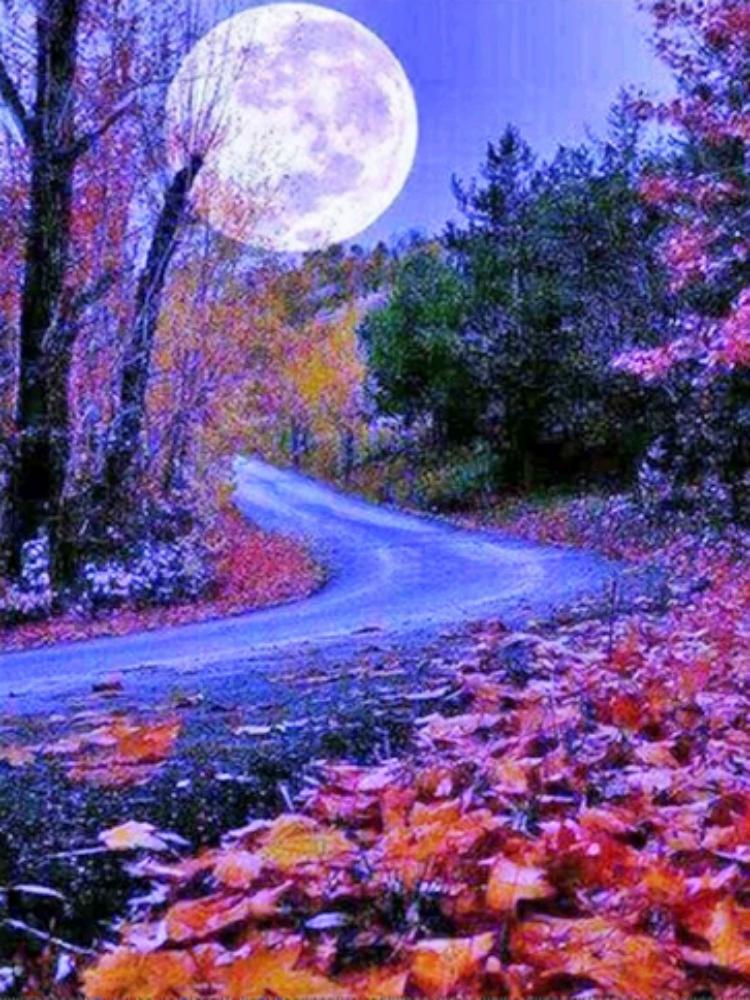 Moon Road - Full Round Drill Diamond Painting 30*40CM