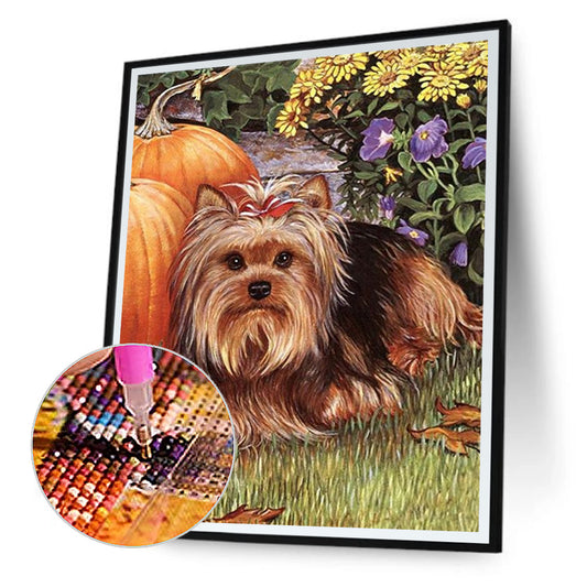 Yorkshire Terrier - Full Round Drill Diamond Painting 30*40CM