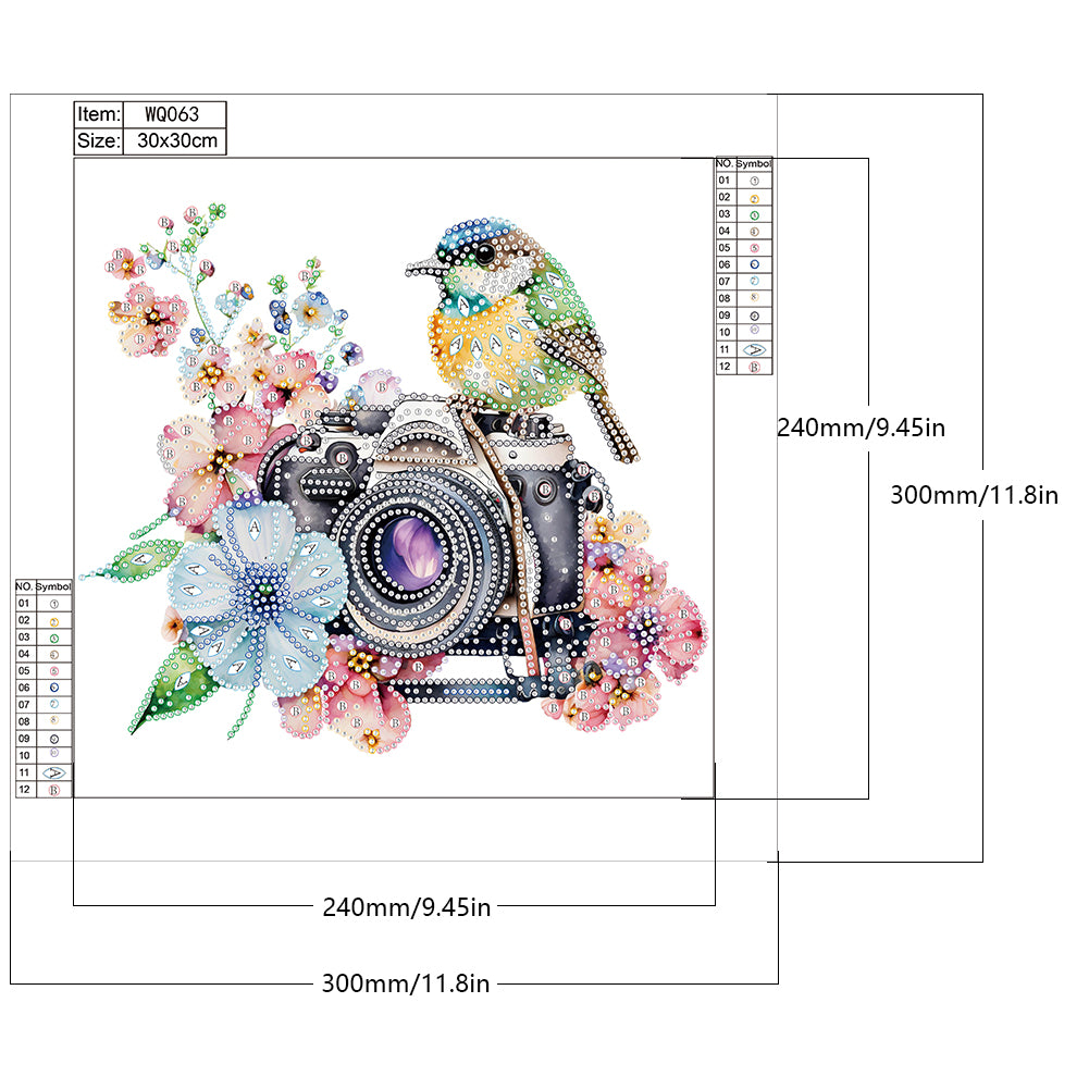 Camera And Bird - Special Shaped Drill Diamond Painting 30*30CM