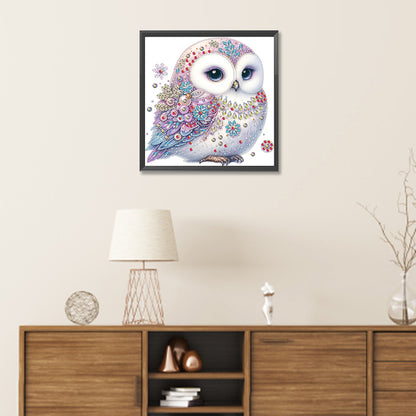 Bald Owl - Special Shaped Drill Diamond Painting 30*30CM