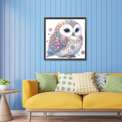 Bald Owl - Special Shaped Drill Diamond Painting 30*30CM