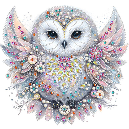 Bald Owl - Special Shaped Drill Diamond Painting 30*30CM