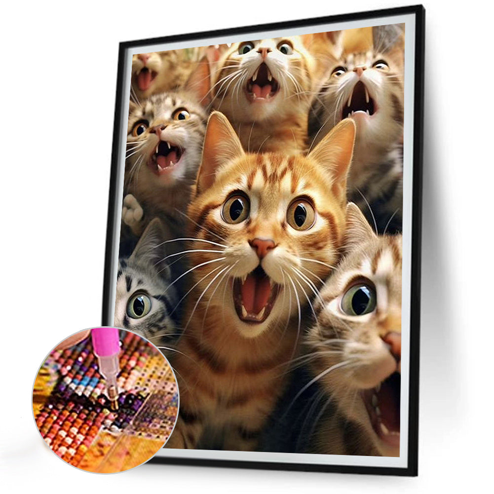 Funny Cat - Full Round Drill Diamond Painting 30*40CM