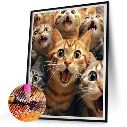 Funny Cat - Full Round Drill Diamond Painting 30*40CM