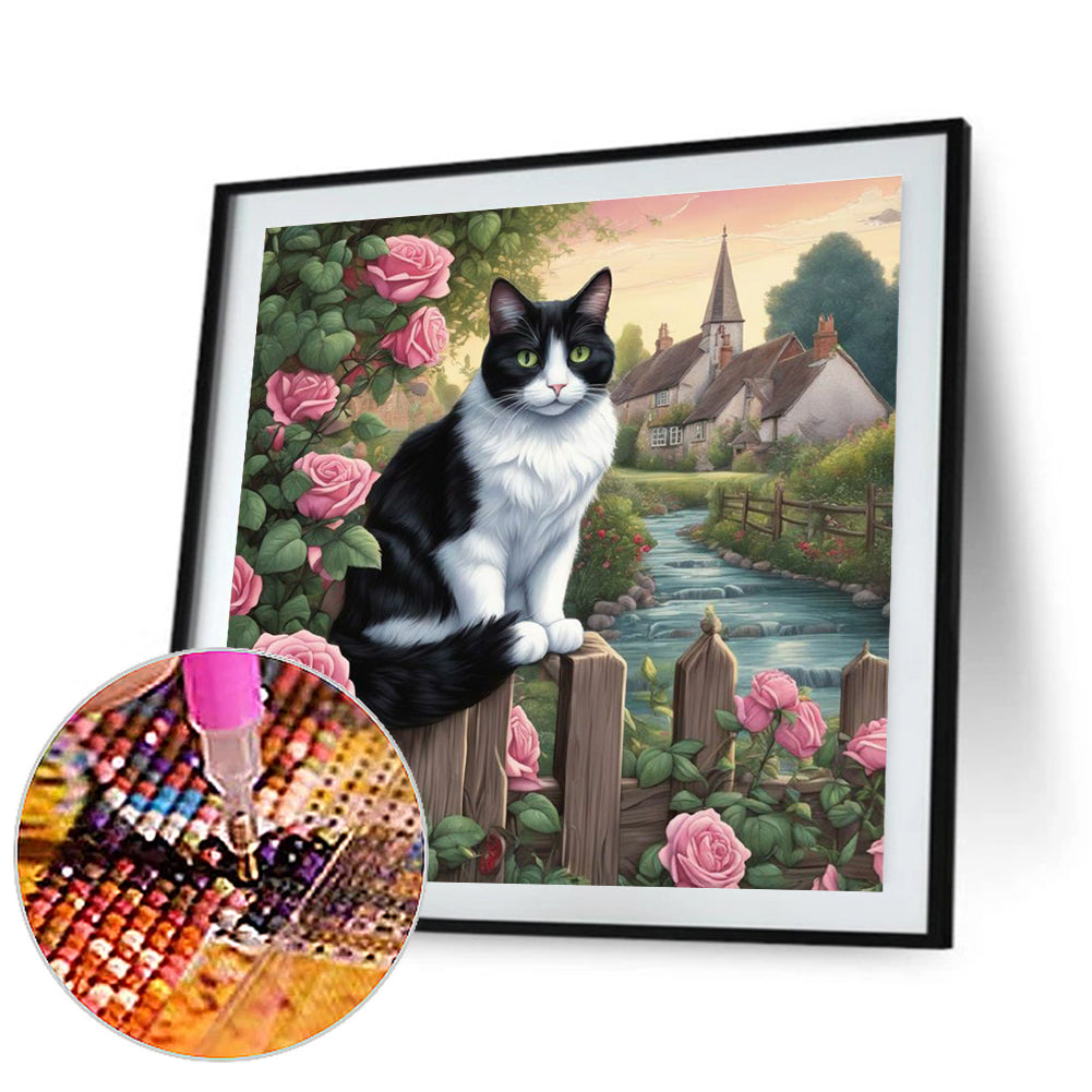 Black And White Cat - Full Round Drill Diamond Painting 30*30CM