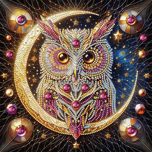 Moon Owl - Special Shaped Drill Diamond Painting 30*30CM