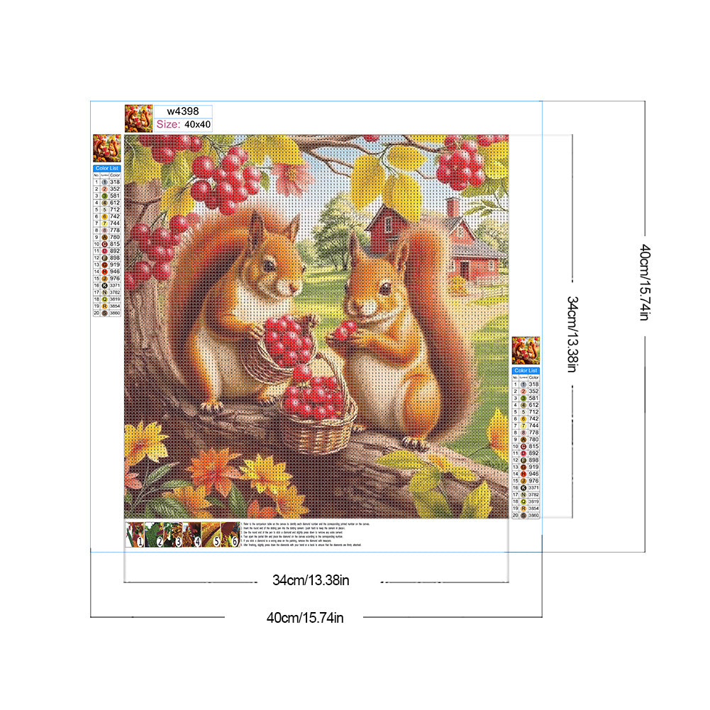 Squirrel Eating Berries In Autumn - Full Round Drill Diamond Painting 40*40CM