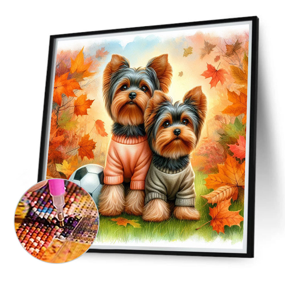 Yorkshire Terrier Dog In Autumn - Full Round Drill Diamond Painting 40*40CM