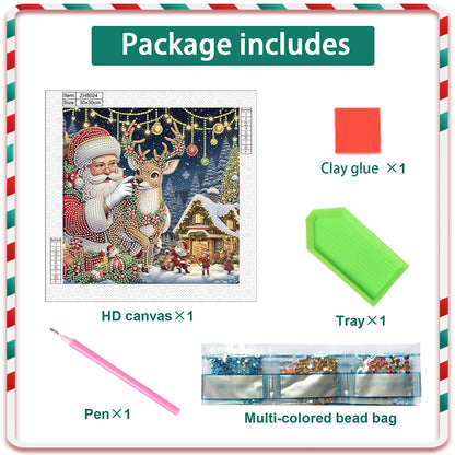 Santa Claus - Special Shaped Drill Diamond Painting 30*30CM