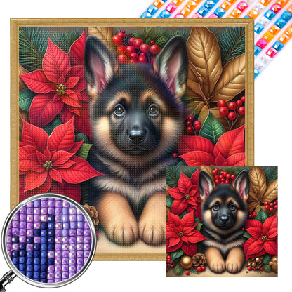 Christmas Poinsettia Dog - Full AB Square Drill Diamond Painting 40*40CM