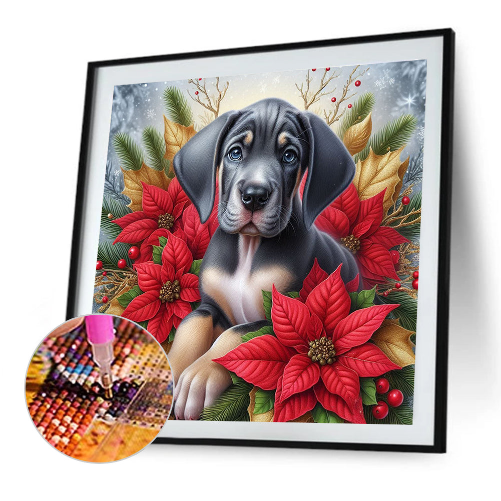 Christmas Poinsettia Dog - Full AB Square Drill Diamond Painting 40*40CM