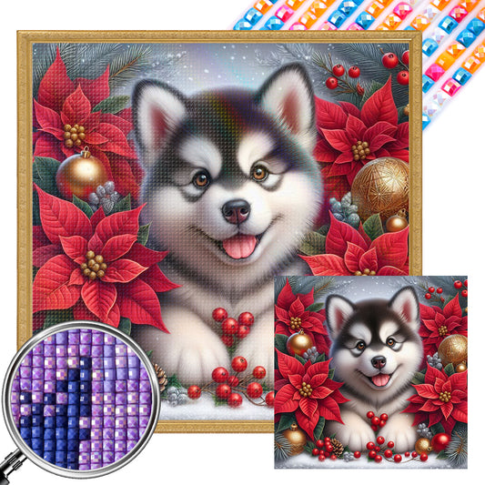 Christmas Poinsettia Dog - Full AB Square Drill Diamond Painting 40*40CM