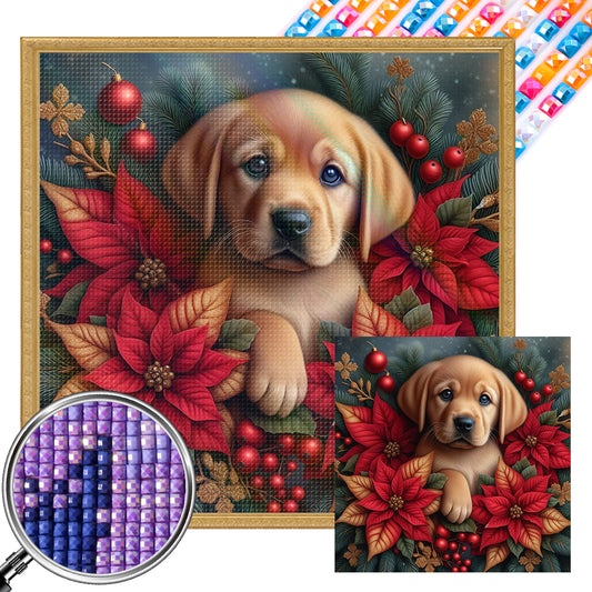 Christmas Poinsettia Dog - Full AB Square Drill Diamond Painting 40*40CM