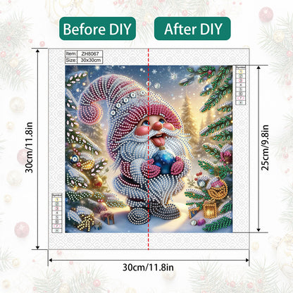 Christmas Gnome - Partial Special-Shaped Drill Diamond Painting 30*30CM