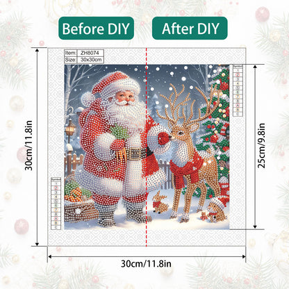 Santa Claus - Partial Special-Shaped Drill Diamond Painting 30*30CM