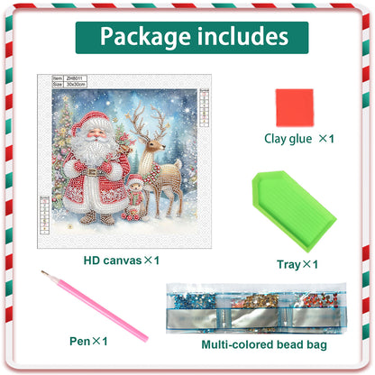 Santa Claus - Partial Special-Shaped Drill Diamond Painting 30*30CM