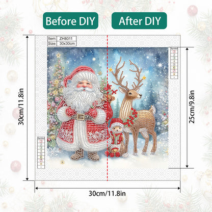 Santa Claus - Partial Special-Shaped Drill Diamond Painting 30*30CM