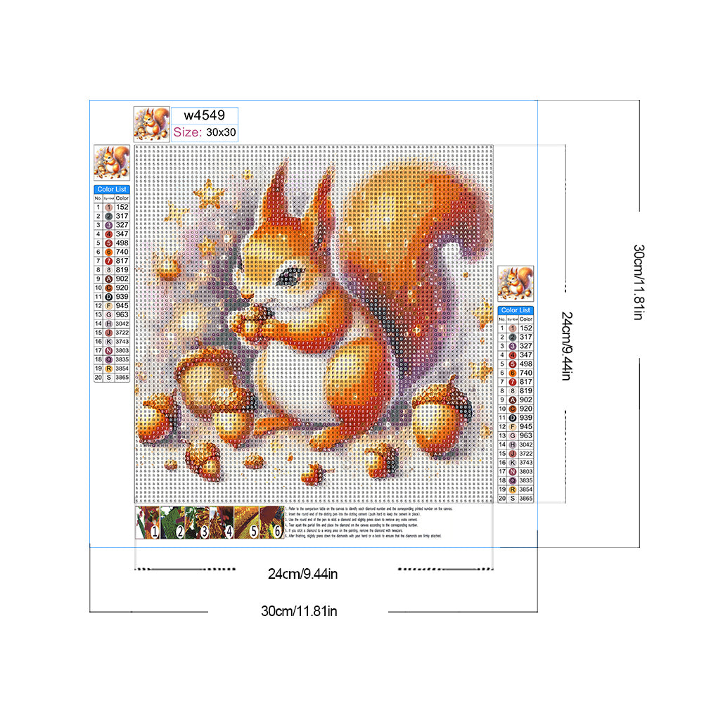 Squirrel - Full Round Drill Diamond Painting 30*30CM