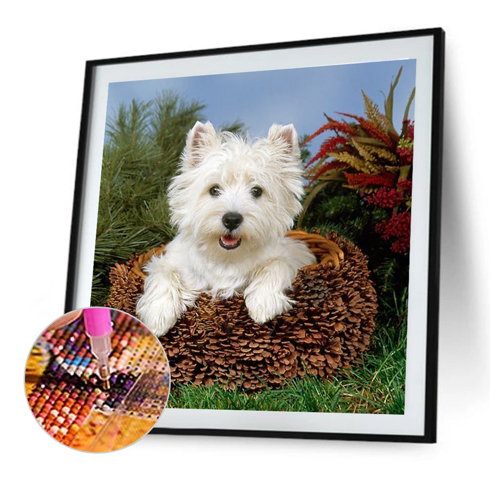 West Highland White Terrier - Full Round Drill Diamond Painting 40*40CM