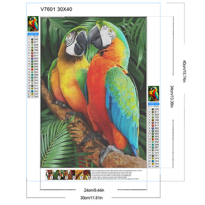 Macaw - Full Round Drill Diamond Painting 30*40CM