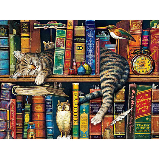 Cat On The Bookshelf - Full Round Drill Diamond Painting 40*30CM