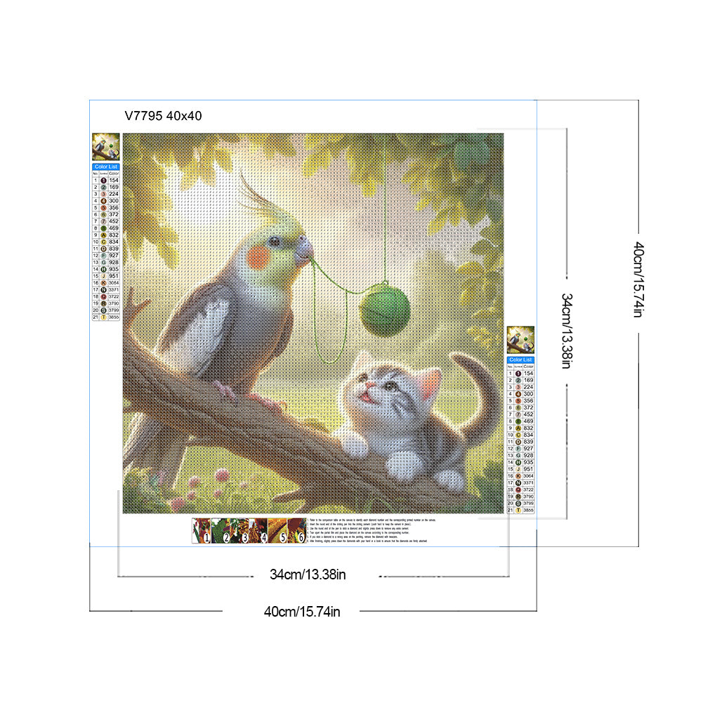 Parrot And Cat - Full Round Drill Diamond Painting 40*40CM