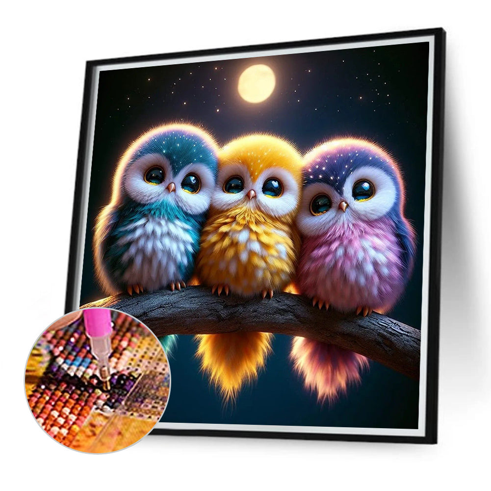 Three Owls - Full Round Drill Diamond Painting 40*40CM