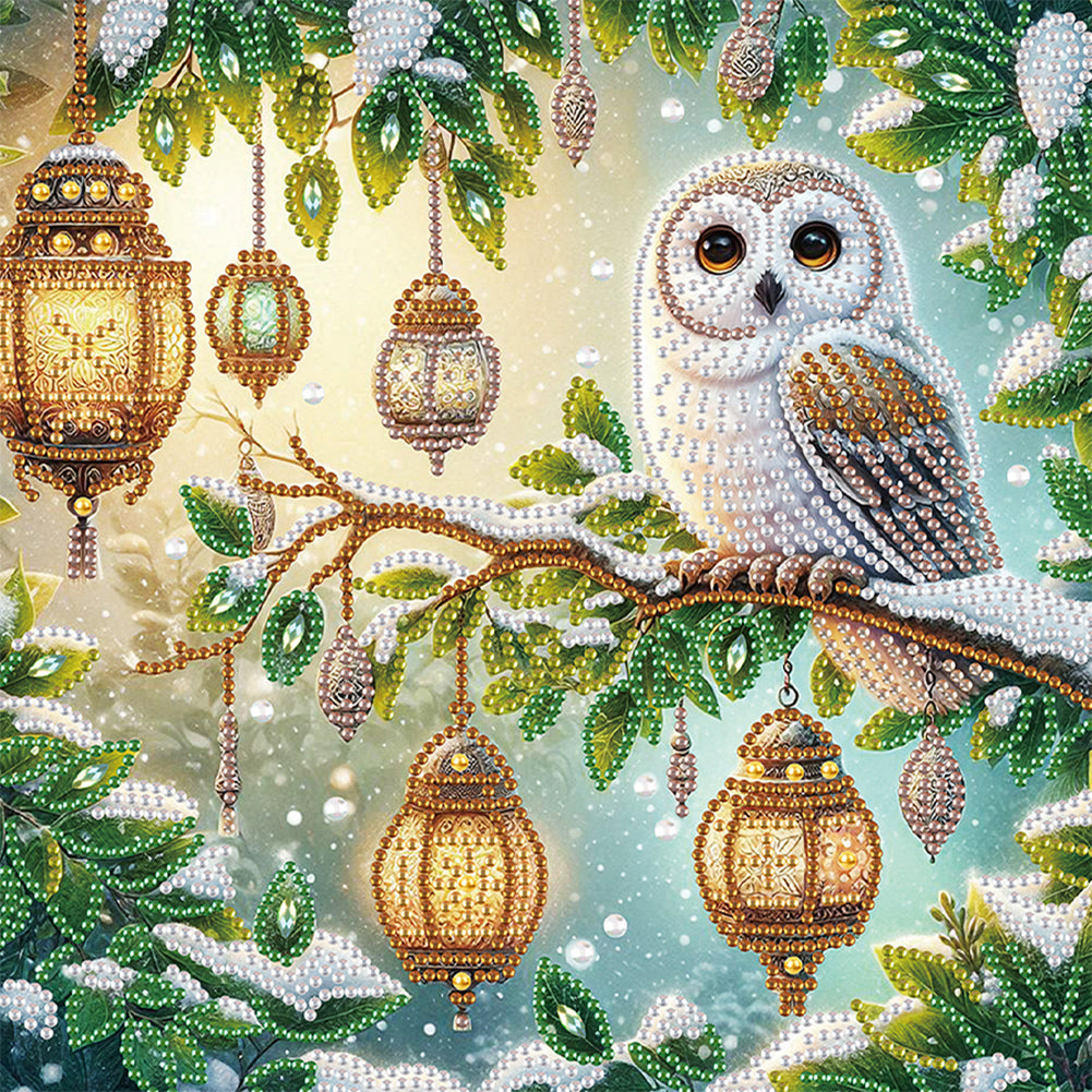 Owl - Special Shaped Drill Diamond Painting 30*30CM